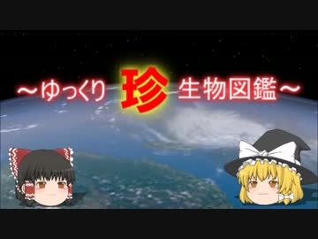 ～ゆっくり　珍　生物図鑑～　新・52回