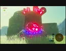【実況】ブレス・オブ・ザ・ワイルド　新世界の勇者に俺はなる！41