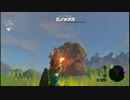 【実況】ブレス・オブ・ザ・ワイルド　新世界の勇者に俺はなる！44