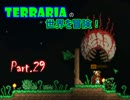 【Terraria】完全初見！テラリアの世界を冒険！ Part.29