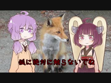 道民ゆかりさんが行く北海道ツーリング#9【ふらっと小樽】