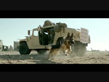 ミーガン・レヴィー　第１弾予告編【軍用犬レックスとの交流】