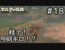 ゼルダの伝説ブレスオブザワイルド100%クリア目指す Part18