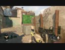 【BO3実況】またしてもやってきたあのSG part19