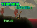 【Terraria】完全初見！テラリアの世界を冒険！ Part.30