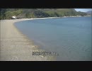 残念気味なおっさんが行く　ソロキャンプ　第7泊目