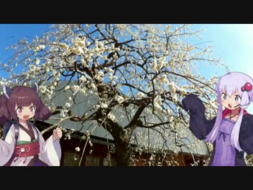 【結月ゆかり・東北きりたん車載】エストレヤで何処かへ　Ride.5