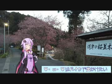 Ψ・ω・Ψはバイクで出かけたい【Voiceroid車載】