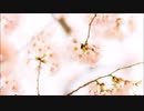 モーニング娘。'17のモーニング女学院～夜眠れない時にすることは？