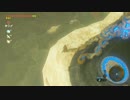 【声なし】音と景色を楽しむ ブレス オブ ザ ワイルド #116【環境音】