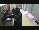 ハプニング・ごめんなちゃい