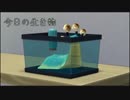 【SIMS4】ラスクとビスケ時々ナッツ【ゆっくり実況】part53