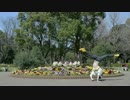 【はんちー】ん？『学割ってるダンス』だったよね・・？【踊ってみた】