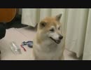 ヨナ×ヨナ月曜日(浅野真澄/170313)