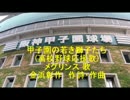 甲子園の若き獅子たち(高校野球応援歌)