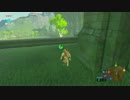 自由すぎるリンクの冒険【プレイ動画その１１】