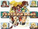 【SRPG】ファーランドサーガ　時の道標　第33回(終)