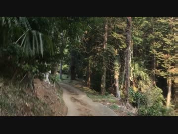 実家の裏手をさんぽした