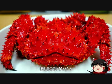 北海道ツーリング2016 Vol.5