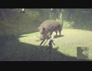 NieR:Automata【ストーリープレイ動画】part69