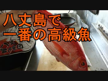 あさひメシ!「超高級魚！八丈島で一番高い魚オナガダイ捌いて食べる！」