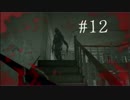 【実況】ルーカスってほんとカス「バイオハザード７」Part12