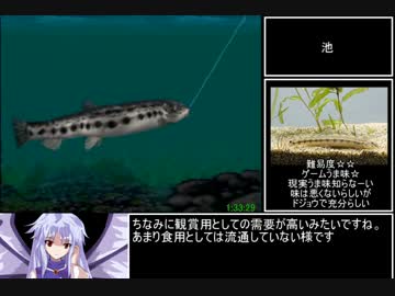 ぬし釣り64 全魚類釣りrta 3時間59分秒part3 7 ニコニコ動画
