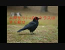 【怪談朗読】人間をついばむカラスはすぐ殺せ