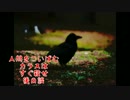 【怪談朗読】人間をついばむカラスはすぐ殺せ　後日談