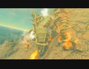 【声なし】音と景色を楽しむ ブレス オブ ザ ワイルド #123【環境音】