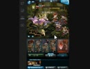 【グラブル】3月古戦場 Lv95 ベラドンナ（リロード無しソロ）