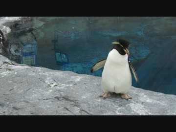 ようこそ旭山ジャパリパークへ【旭川旭山動物園】