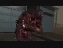 命懸けのかくれんぼスタート！「MGSV:TPP」実況！part32