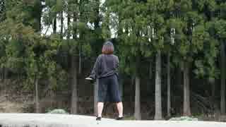 【初投稿】パーフェクト生命　踊ってみた【楽】