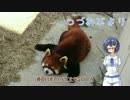 つづみびより ～鯖江のレッサーパンダ！～