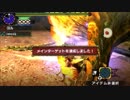 【MHX】闘技大会 ガララアジャラ討伐 ペア 操虫棍×操虫棍 42"13