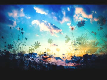 私の空