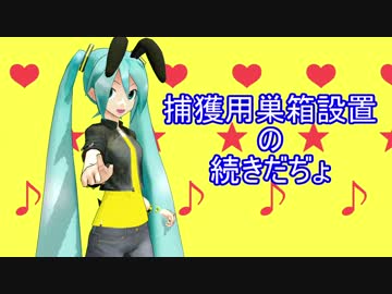 【素人養蜂　Part17】捕獲用巣箱設置完了です