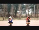 【しゅうかxみかんグミ】 Calc. 踊ってみた
