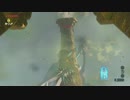 【高画質プレイ動画】ゼルダの伝説 ブレスオブザワイルド Part51
