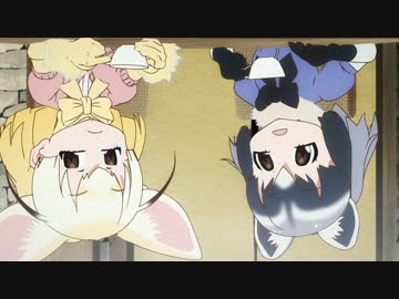 アライフェネックで学ぶ「顔倒立効果」