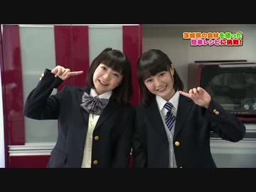 サーバルちゃんがいばらきちほーのメロンを料理するよ！