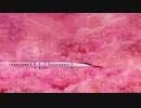 JR東日本CM 新幹線YEAR2017「四季を走る新幹線」篇
