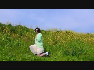 【ミサト】ハルイチ。（踊ってみた）