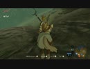 【実況】愛に生きるゼルダの伝説ブレスオブザワイルド part21
