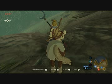【実況】愛に生きるゼルダの伝説ブレスオブザワイルド part21