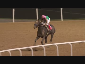 【競馬】2017年 ドバイワールドカップ アロゲート【GI】