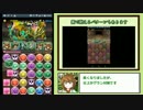 花嫁カノパ　極限コロシアムソロノーコン Part1　【パズドラ】