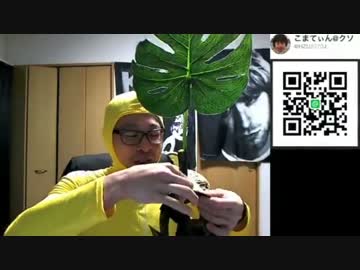 同胞の死を憂うピクミン初見実況プレー Part17