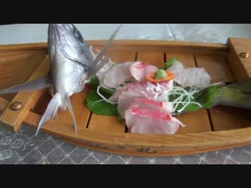 男一匹島の上　八丈島編　その8